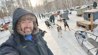 My Incredible Dog Sledding Experience In ALASKA  Mushing Thru The Snow Of Willow  Home Of Iditarod [upl. by Nance]