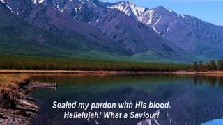 Hallelujah What A Saviour Man of Sorrows What A Name [upl. by Ocirne]