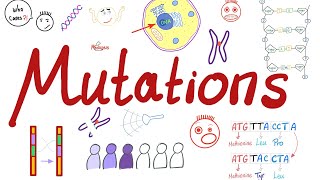 Types of Mutations  Changes in the Gene Pool  Genetic Drift  Biology 🧬 [upl. by Noella924]