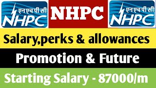 NHPC Officer  Salary Perks amp Promotion  After 3rd PRC  Specially For Elec Mech amp Power system [upl. by Waddington]