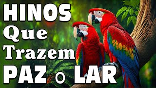 Hinos CCB 2023  Ótimo Hinos Para Trazem Paz O Lar  A Melodia Do Hino Ccb Acalma A Alma [upl. by Brass576]