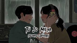 TU JO MILYA FULL Song SlowedReverb [upl. by Steward906]