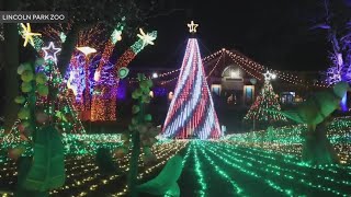 Zoo Lights at Lincoln Park Zoo to kick off its 29th year [upl. by Lamont]