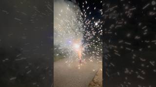 Flippin awesome fountain by world class fireworks shorts fireworks [upl. by Aelegna]