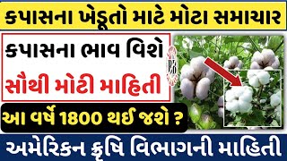 કપાસના ભાવ કેવા રહેશે kapas na bhav Commodity Trend  information about coton crop prize [upl. by Ayokal]