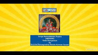 Surya Namaskaram Prasna ARUNAM Veda Parayanam by SriUVeThiruayindhai Malola Kannan Swami [upl. by Naveb]