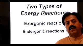 First Year  Chapter 11  Bioenergetics  Part 4  Exergonic and Endergonic Reactions [upl. by Attekram747]