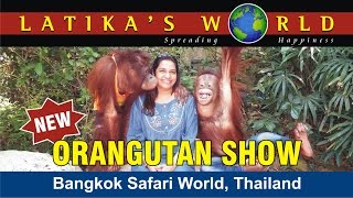 NEW ORANGUTAN SHOW BANGKOK SAFARI WORLD THAILAND LATIKAS WORLD [upl. by Ydnolem]