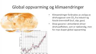 Samfunnsfag  Økonomisk vekst og bærekraftig utvikling [upl. by Martz639]