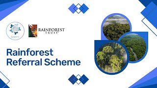 Rainforest Referral Scheme  Teem x The Rainforest Trust [upl. by Alym]