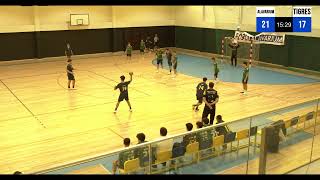 Alavarium Vs Tigres  20241116  2ª Parte [upl. by Reviel]