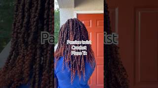 Passion Twists Crochet Braids hairshorts shorts braids [upl. by Lemuel728]