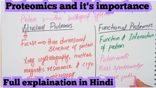 ProteomicsStructural and functional proteomicsExplaination in Hindi molecularbiology [upl. by Renwick]