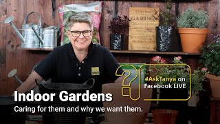 Garden Masterclass LIVE with Tanya Visser [upl. by Hofmann350]