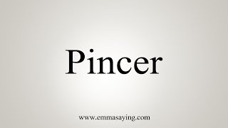 How To Say Pincer [upl. by Leinod]