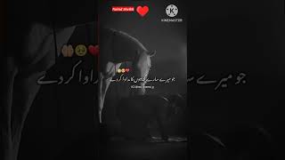 ❤️🤲🥀quotya allah mere dil ko bhi pakeeza kar dequot islamicpoetry islamicshorts islamicstatus [upl. by Gnot]