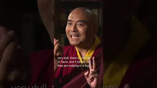 Experience in Meditation with Mingyur Rinpoche [upl. by Orgell797]