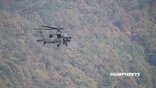 AFN Humphreys  517th Aerial Cavalry Squadron Live Fire [upl. by Mckeon]