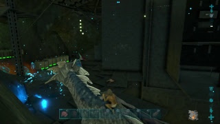 Pushing WW Off Our Server Ark Official Servers [upl. by Asylem91]