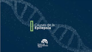 Causas de la Epilepsia [upl. by Etiuqram3]