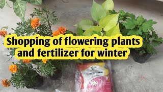 Shopping of flowering plants and fertilizer at reasonable price for winter garden [upl. by Annaxor]