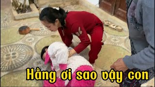 Hằng Trượt Chân Ngã Và Cái Kết 😞😞 [upl. by Alie]