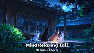 Mind Relax Lofi Song 💔🎵  Mind Relax Lofi Mashup  Sad Lofi Songs  Slowed and Reverb latenight [upl. by Reginald674]