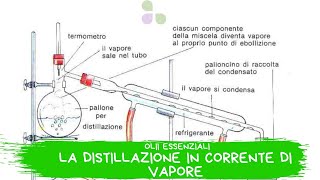 Distillazione in corrente di vapore [upl. by Saraiya]