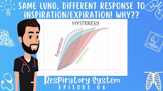 Lung HYSTERESIS 5 Minutes of Physiology explained Respiratory System Episode 06 [upl. by Islehc66]