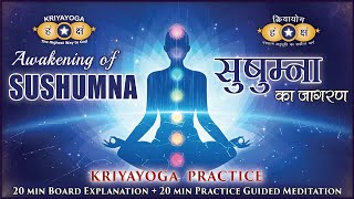 Kriyayoga Practice Awakening of SUSHUMNA Intuition  सुषुम्ना जागरण का अभ्यास Kriya Initiation [upl. by Yblek392]