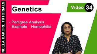 Genetics  Principles of Inheritance amp Variations  NEET  Pedigree Analysis  Example  Hemophilia [upl. by Evante510]