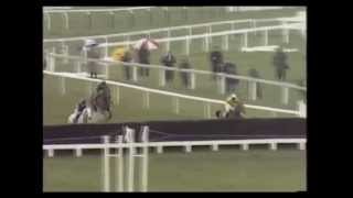 1989 Cheltenham Gold Cup Desert Orchid Peter Bromley commentary [upl. by Llechtim]