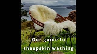 How to wash your sheepskin [upl. by Reniti]