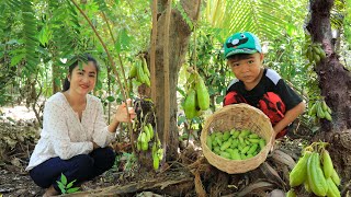 Pick Sour Bilimbi For Recipe  Bilimbi With Fishes Recipe  Prepare By Countryside Life TV [upl. by Blackstock591]