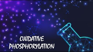 Oxidative Phosphorylation [upl. by Eyatnod]