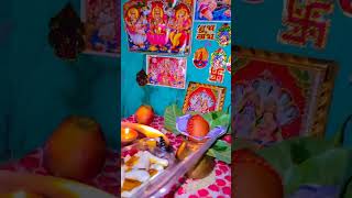 Laxmi pooja 💖🌍 youtubeshorts love happdiwali happy laxmipoojan shorts homedecor diwali [upl. by Zela]