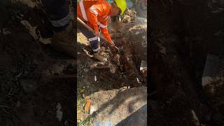 Expert utility dig — safe skilled digging near live utilities [upl. by Idna71]