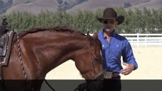 The difference between a hackamore and a rope halter  or sidepull [upl. by Llednohs]