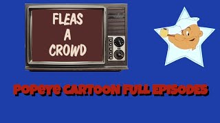 Fleas a Crowd  Popeye Cartoon Full Episodes [upl. by Nedra]