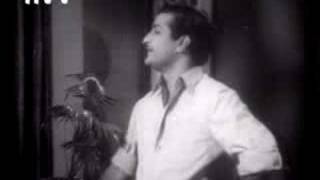 nee sigge singarame oh cheli song in ntr bhagyarekha [upl. by Regen]