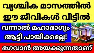 വൃശ്ചിക മാസത്തിൽ ഈ ജീവികൾ വീട്ടിൽ വന്നാൽ ആട്ടി പായിക്കല്ലേ മഹാഭാഗ്യവുമായി ഭഗവാൻ അയക്കുന്നത് [upl. by Jaynes]