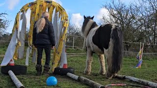 International Horse Agility  WO Silver Liberty Trophy  March 2024 [upl. by Hpesojnhoj513]