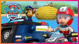 Ultimate Rescue Marshall puts out fires with the Pups  PAW Patrol  Cartoons for Kids Compilation [upl. by Namyaw923]