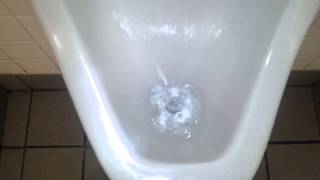 Proflo Urinal at Burger King at Ft Chiswell VA [upl. by Naimad]