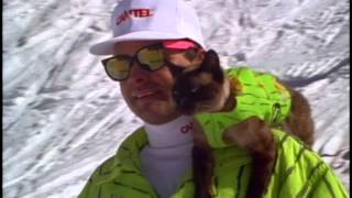 Cat on Skiers Shoulder at Catskinner [upl. by Scottie]