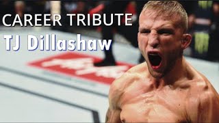 TJ Dillashaw  Career Highlights 2021 HD [upl. by Lleder706]