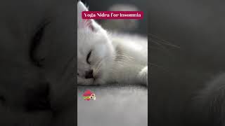 Yoga Nidra Meditation for Insomnia [upl. by Tove112]