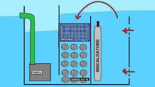 Come FUNZIONA un FILTRO Per ACQUARIO [upl. by Ettenhoj942]
