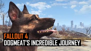 Fallout 4 Dogmeats Incredible Journey Home [upl. by Conyers]