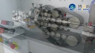 BZW50WX Computerized Wire Cutting and Stripping Machine for Multicore RoundFlat Sheathed Cable [upl. by Mastrianni]